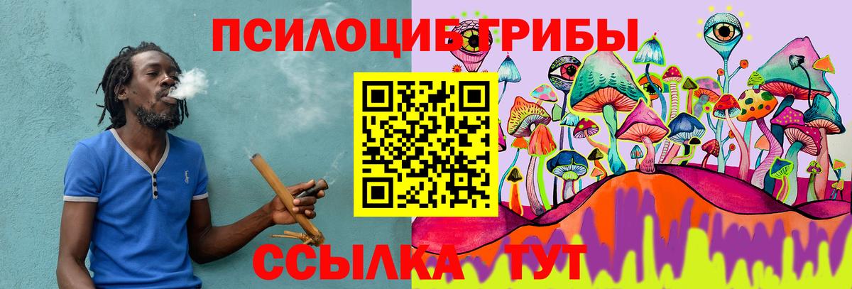 Бор  Псилоцибиновые грибы ЛСД  Вход с VPN 